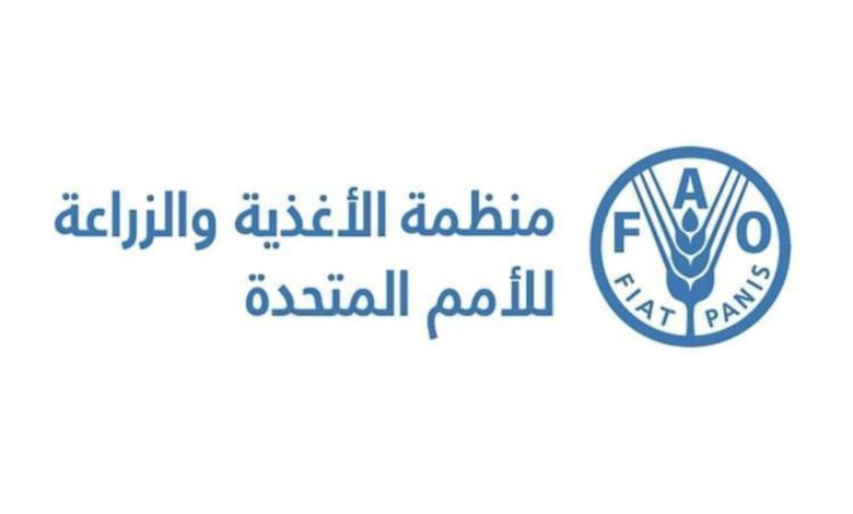 الأمم المتحدة: انخفاض مؤشر أسعار الغذاء خلال يناير الماضي 1 الأمم المتحدة: انخفاض مؤشر أسعار الغذاء خلال يناير الماضي