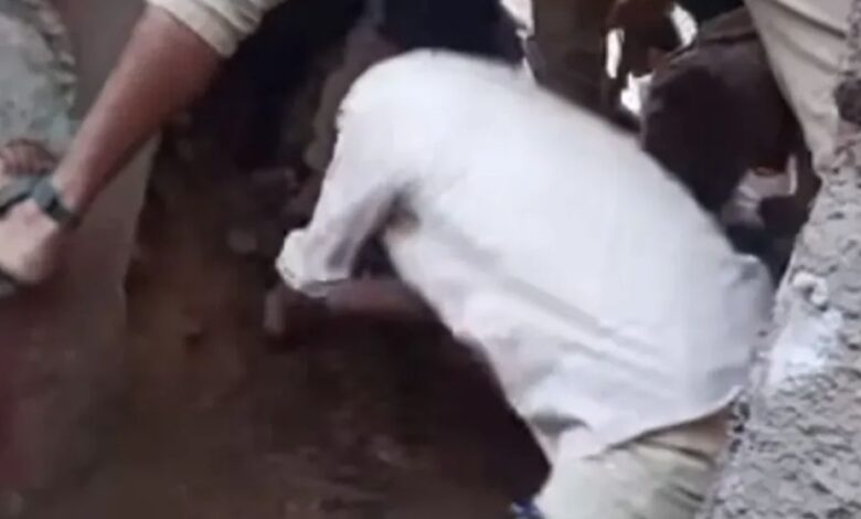جريمة مروعة في إب.. مواطن يذبح طفله "قرباناً للجن" بحثاً عن الذهب 1 جريمة مروعة في إب.. مواطن يذبح طفله "قرباناً للجن" بحثاً عن الذهب