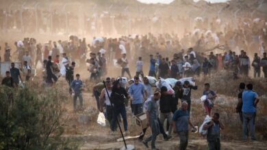 الأمم المتحدة: استشهاد نحو 800 فلسطيني أثناء محاولتهم الحصول على الغذاء في غزة