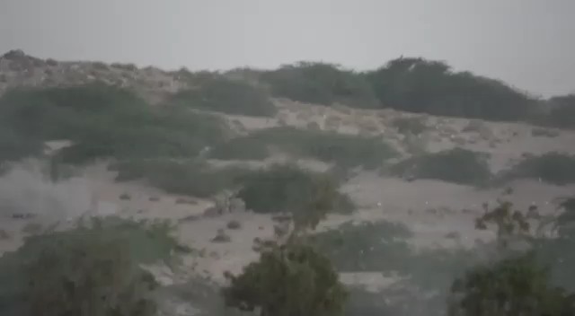 مليشيات الحوثي ضاعفت خسائرها بتوسيع نطاق الاشتباكات في الحديدة
