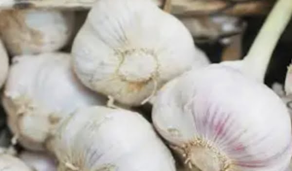 الثوم يقوي المناعة والأعصاب