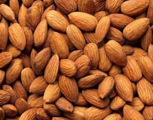 ماذا يحصل للجسم عند تناول اللوز بشكل منتظم؟ 1 ماذا يحصل للجسم عند تناول اللوز بشكل منتظم؟