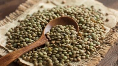 5 فوائد صحية مذهلة للعدس.. تعرف عليها