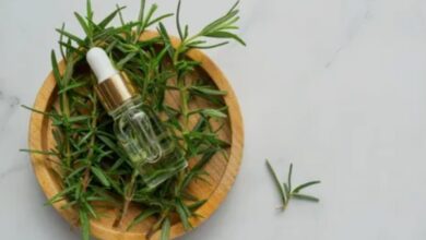إكليل الجبل.. نبتة عطرية تتحول إلى علاج شامل للدماغ والشعر والبشرة 1 إكليل الجبل.. نبتة عطرية تتحول إلى علاج شامل للدماغ والشعر والبشرة
