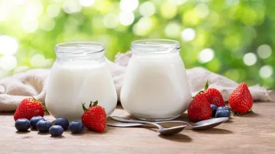 الزبادي.. غذاء بسيط يدعم صحة الأمعاء ويعزز الهضم في أي وقت من اليوم 1 الزبادي.. غذاء بسيط يدعم صحة الأمعاء ويعزز الهضم في أي وقت من اليوم
