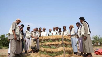 سلمان للإغاثة يختتم برنامجاً تدريبياً شاملا لتعزيز قدرات المزارعين في خمس محافظات