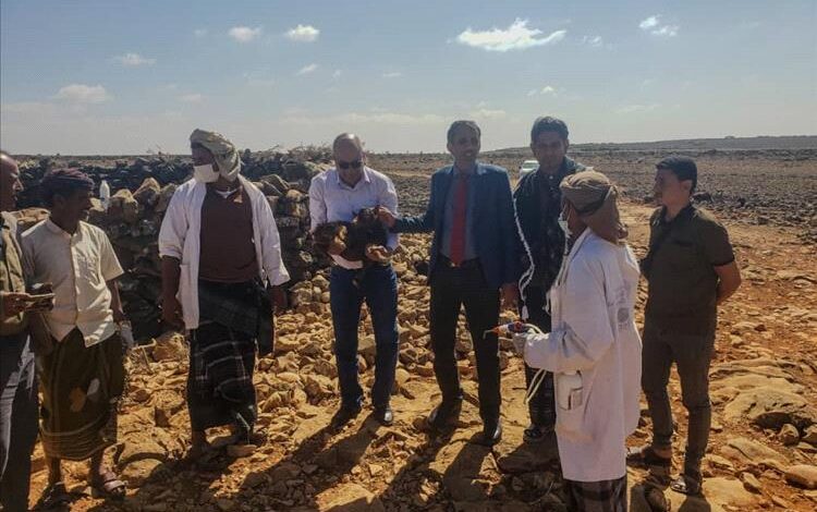 وزارة الزراعة تنفّذ زيارة ميدانية لتقييم أوضاع القطاع الزراعي في أرخبيل سقطرى