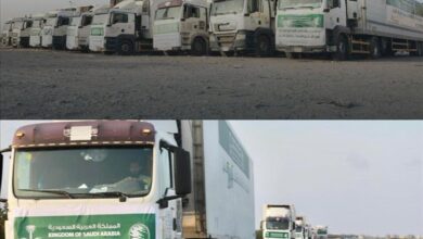 قافلة إغاثية سعودية تصل عدن لتعزيز الأمن الغذائي ودعم الأسر المتضررة 10 قافلة إغاثية سعودية تصل عدن لتعزيز الأمن الغذائي ودعم الأسر المتضررة