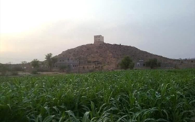 انفجار يستهدف دورية أمنية في الوضيع ويودي بحياة جنديين 1 انفجار يستهدف دورية أمنية في الوضيع ويودي بحياة جنديين