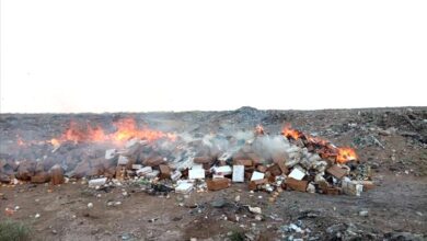 إتلاف خمسة أطنان من مواد غذائية فاسدة في المنصورة بعدن