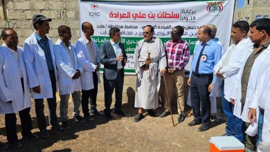 تدشين حملة بيطرية لتحصين وعلاج 113 الف رأس من الاغنام والماعز بمأرب