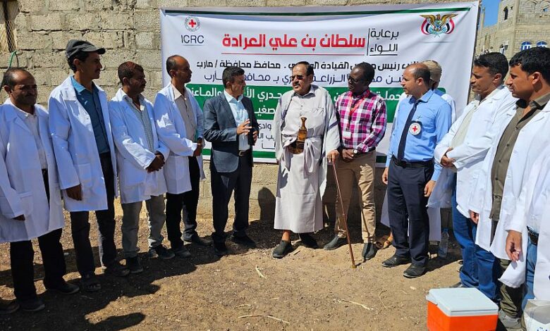 تدشين حملة بيطرية لتحصين وعلاج 113 الف رأس من الاغنام والماعز بمأرب 1 تدشين حملة بيطرية لتحصين وعلاج 113 الف رأس من الاغنام والماعز بمأرب