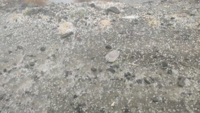 لحج.. هطول امطار غزيرة بيافع 1 لحج.. هطول امطار غزيرة بيافع