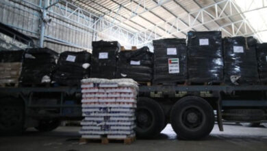 الإمارات تعلن إيصال 400 طن من المساعدات الغذائية لسكان ‎غزة