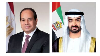 محمد بن زايد يستقبل السيسي لدى وصوله إلى الإمارات في زيارة تؤكد الشراكة الاستراتيجية