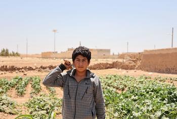 الفاو تحذّر من تصاعد مخاطر النزاع في الشرق الأوسط على الأمن الغذائي وسلاسل الإمداد العالمية 1 الفاو تحذّر من تصاعد مخاطر النزاع في الشرق الأوسط على الأمن الغذائي وسلاسل الإمداد العالمية