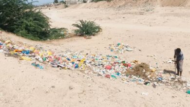 لليوم الرابع.. تواصل أعمال النظافة في الخوخة جنوب الحديدة