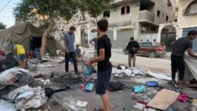 فنلندا تنضم إلى إعلان نيويورك لحل الدولتين