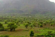 وفاة ثلاثينية في تعز برصاصة راجعة أثناء احتفال أسرتها بقدومها