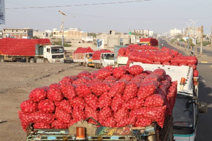 مدير ميناء المخا يؤكد بدء تصدير البصل إلى عدة دول