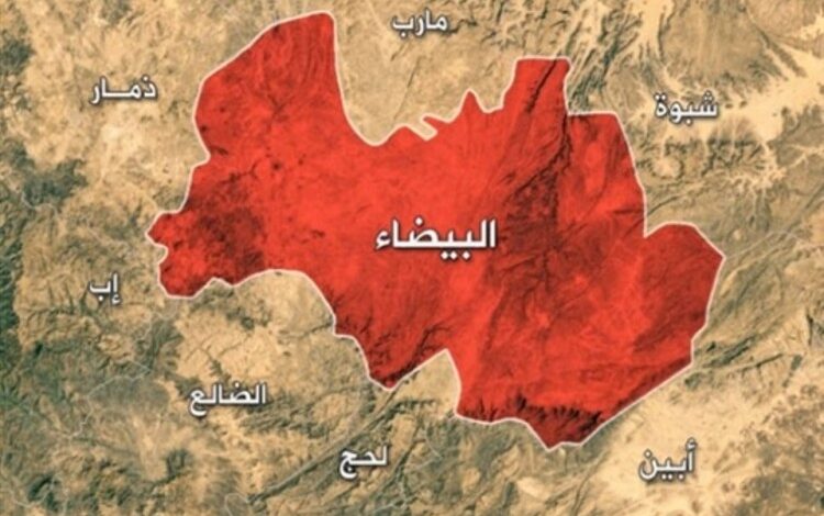 قبائل البيضاء تعلن جاهزيتها لإسناد القوات المسلحة وإنهاء انقلاب الحوثي 1 قبائل البيضاء تعلن جاهزيتها لإسناد القوات المسلحة وإنهاء انقلاب الحوثي