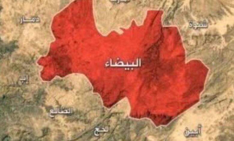 البيضاء.. كمين محكم يوقع قتلى وجرحى من عناصر الحوثي في قيفة 1 البيضاء.. كمين محكم يوقع قتلى وجرحى من عناصر الحوثي في قيفة