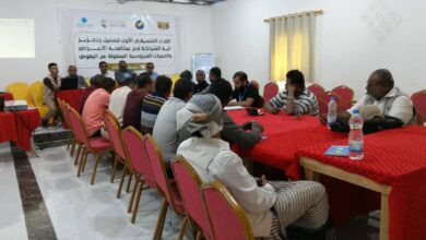 لقاء تنسيقي في الحديدة لتعزيز وتفعيل الشراكة لمكافحة الأمراض المنقولة عبر البعوض