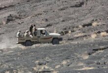 انسحاب مقاتلين قبليين من جبهات الحوثي في مأرب والجوف