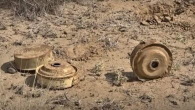 انفجار لغم حوثي يقتل مواطنًا أثناء رعي الأغنام جنوب الحديدة 8 انفجار لغم حوثي يتسبب بانهيار سور مدرسة في الحديدة