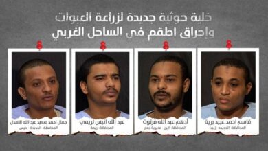 القوات المشتركة تكشف عن خليه حوثية جديدة في الساحل الغربي