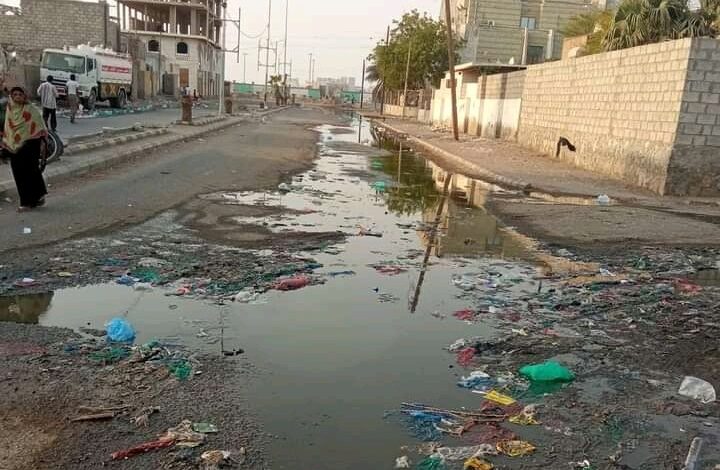 مخاوف من انتشار البعوض في الحديدة مع دخول الشتاء 1 مخاوف من انتشار البعوض في الحديدة مع دخول الشتاء