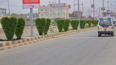 الإعلان عن مناقصات لعدد من المشاريع الخدمية في المخا 3 الإعلان عن مناقصات لعدد من المشاريع الخدمية في المخا
