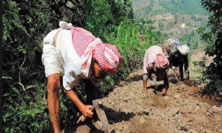 الحوثية تفرض إتاوات باهضة على المزارعين في المحويت