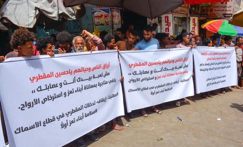 بائعو الأسماك في تعز يحتجون على نقل السوق إلى موقع غير مؤهل ويصفون القرار بالكارثي 1 بائعو الأسماك في تعز يحتجون على نقل السوق إلى موقع غير مؤهل ويصفون القرار بالكارثي