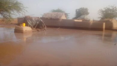 سيول وادي مور تضرب الزهرة في الحديدة وتحذيرات من تفاقم الأضرار 10 سيول وادي مور تضرب الزهرة في الحديدة وتحذيرات من تفاقم الأضرار