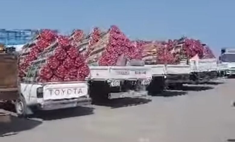 مليشيا الحوثي تفاقم معاناة مزارعي البصل بفرض جبايات في منافذها