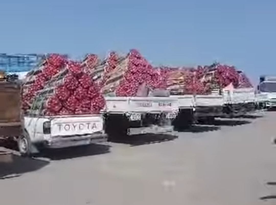 مليشيا الحوثي تفاقم معاناة مزارعي البصل بفرض جبايات في منافذها