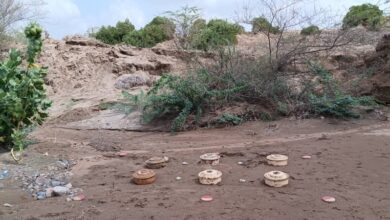 إصابة ثلاثة مدنيين بانفجار لغمين زرعتهما مليشيا الحوثي جنوب الحديدة