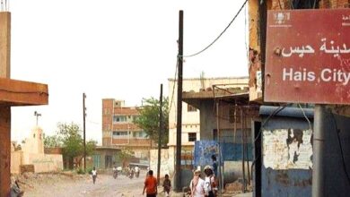 الحديدة.. وصول عدد من الأسر المتضررة من مناطق الحوثي إلى حيس