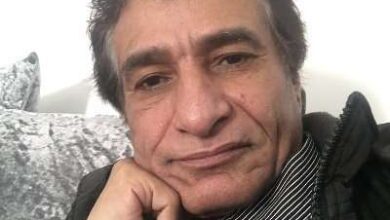 كاتب سياسي متسائلا: ماذا اعدت الشرعية لمعركة الحديدة؟