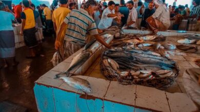 قيادي حوثي يهدم مصادر رزق ابناء تهامة في سوق السمك بمدينة الحديدة