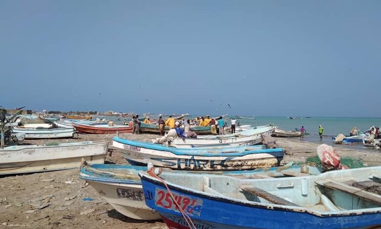 أربعة سودانيين يفرون من الحرب إلى المخا 1 أربعة سودانيين يفرون من الحرب إلى المخا