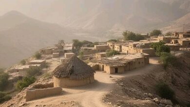 عصابة مسلحة تهاجم قرية في باجل بالحديدة تحت غطاء الحوثي