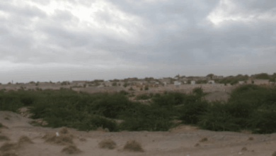 مليشيا الحوثي ترتكب جريمة باستهداف صاروخي لأعيان مدنية جنوب الحديدة