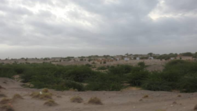 مليشيا الحوثي تجدد عدوانها على قرى سكنية جنوب الحديدة وغرب تعز