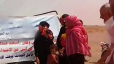قيادات حوثية تنهب اراضي المواطنين في الصليف بالحديدة