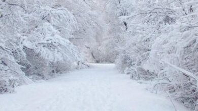 عاصفة ثلجية تغلق طرقاً جبلية جنوب لبنان