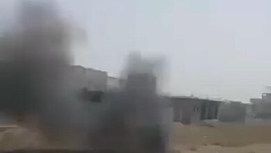 إصابة شاب ونفوق جمله بانفجار لغم حوثي جنوب الحديدة