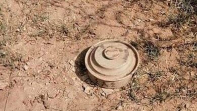إصابة مواطن ونجله بانفجار لغم حوثي في التحيتا بالحديدة