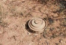 لغم حوثي يودي بحياة طفلين ويصيب آخر في البيضاء